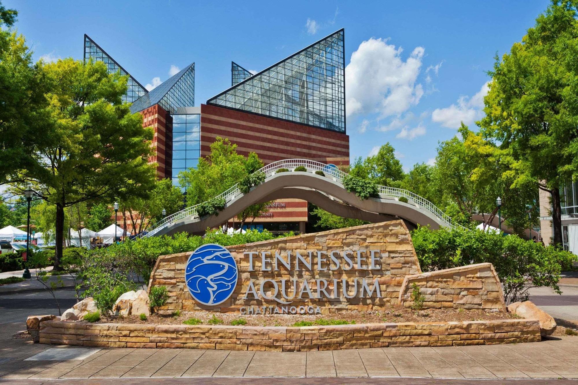 Super 8 By Wyndham Chattanooga Lookout Mountain Tn Exterior foto